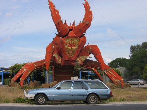 car.jpg