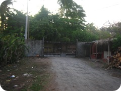 Prision compound gates 002