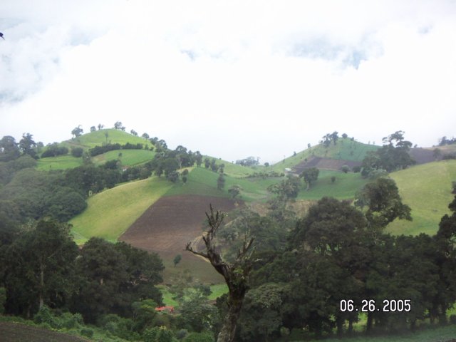 PICT0035.jpg