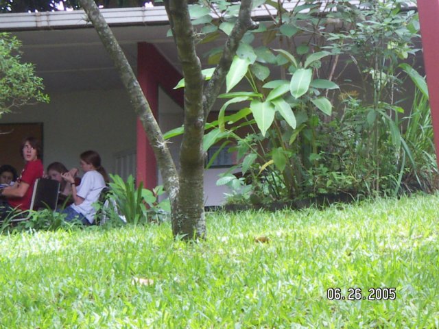 PICT0061.jpg