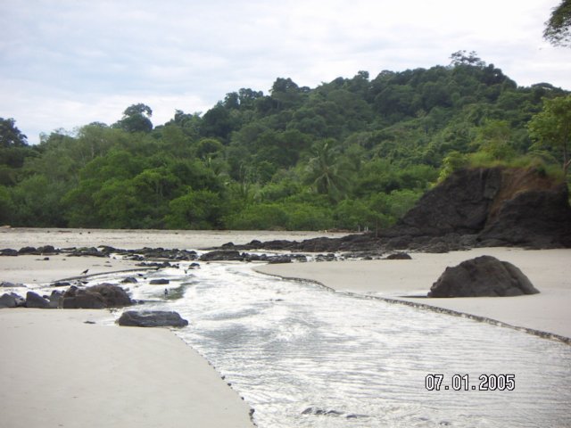 PICT0091.jpg