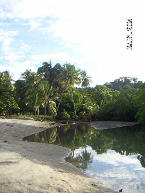 PICT0103.jpg