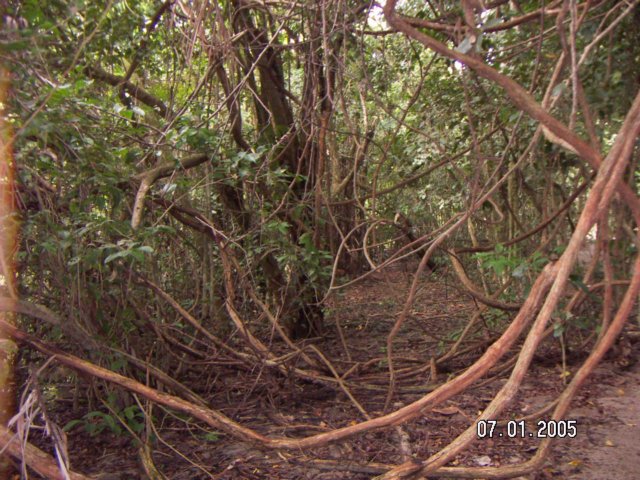 PICT0107.jpg