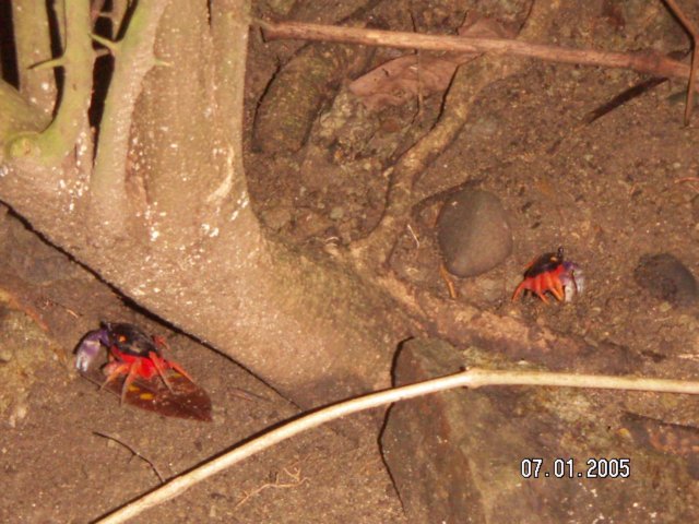 PICT0109.jpg