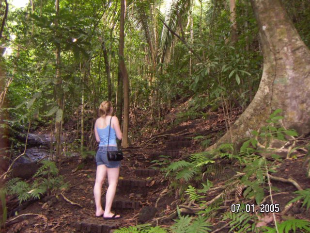 PICT0110.jpg