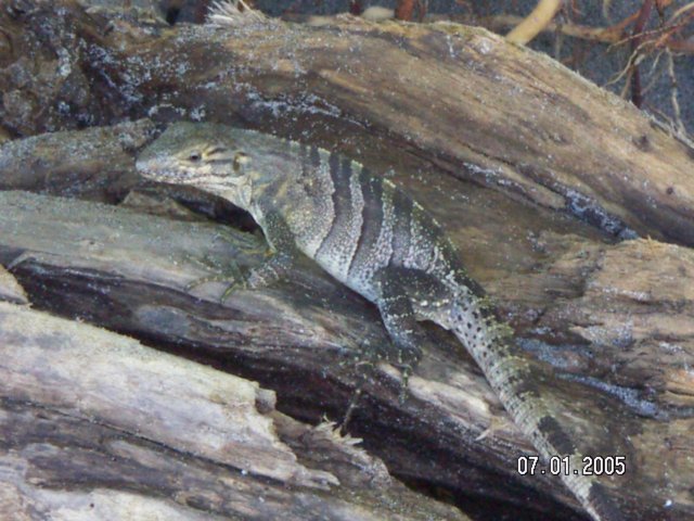 PICT0117.jpg