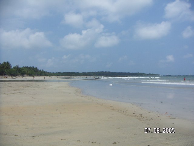 PICT0140.jpg