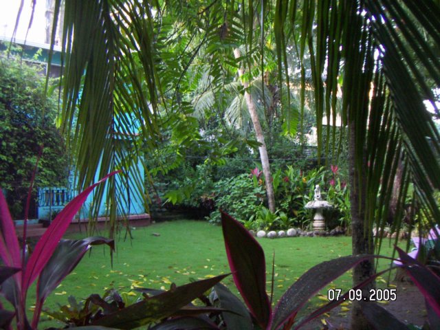 PICT0183.jpg