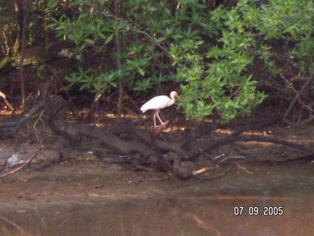 PICT0194.jpg