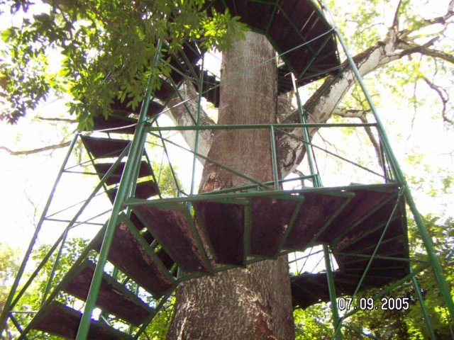 PICT0198.jpg