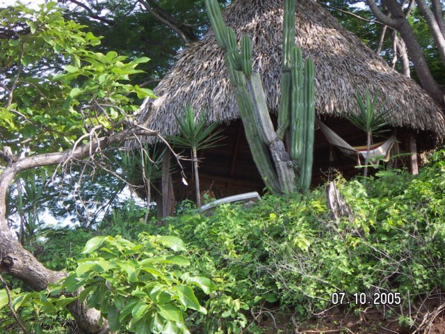PICT0239.jpg