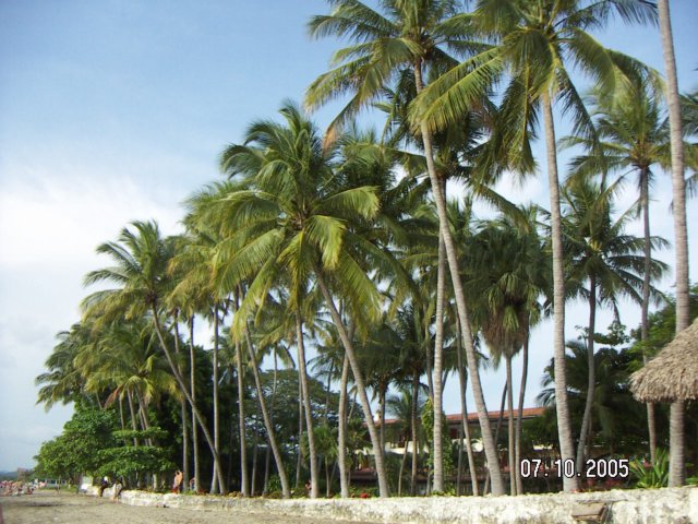 PICT0241.jpg