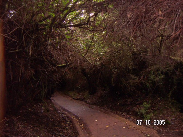 PICT0249.jpg