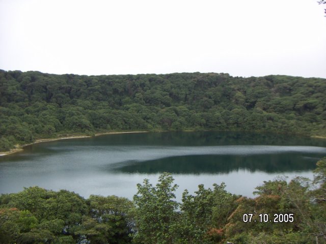 PICT0254.jpg