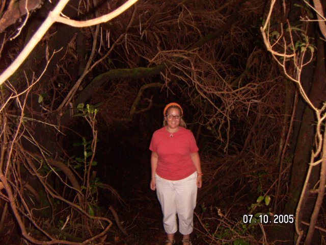 PICT0257.jpg