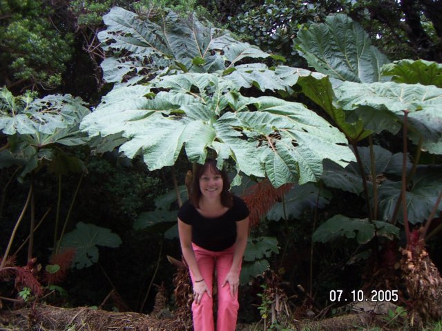 PICT0258.jpg