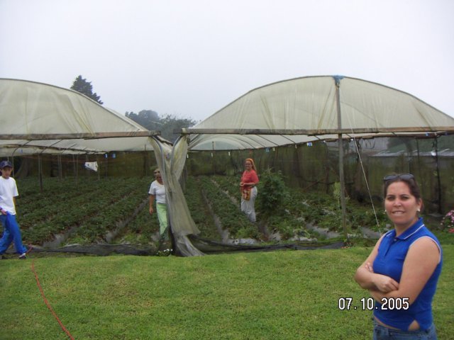 PICT0261.jpg