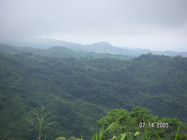 PICT0279.jpg