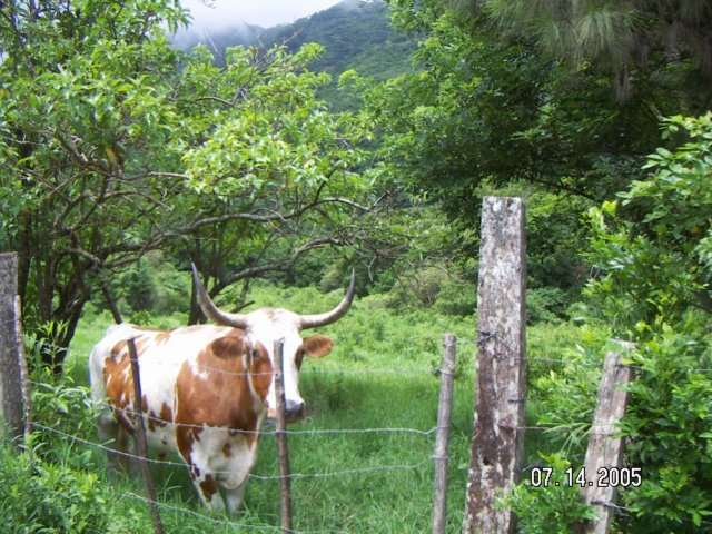 PICT0289.jpg
