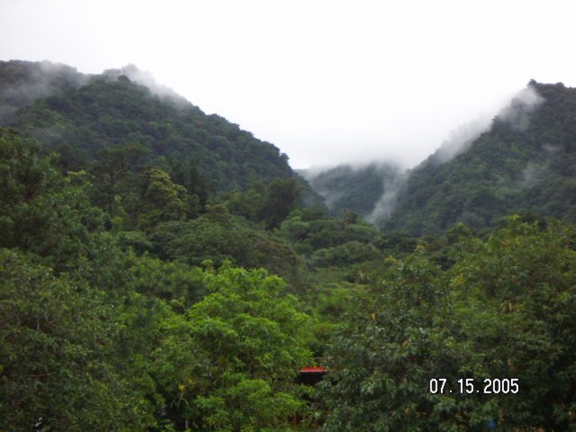 PICT0308.jpg