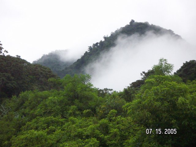 PICT0311.jpg