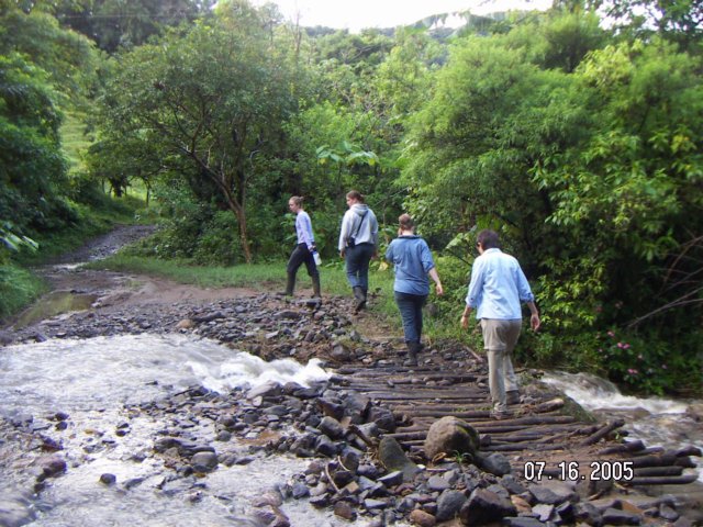 PICT0317.jpg