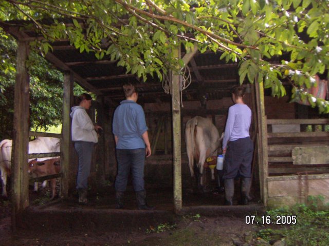 PICT0319.jpg