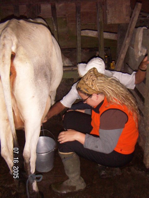 PICT0321.jpg