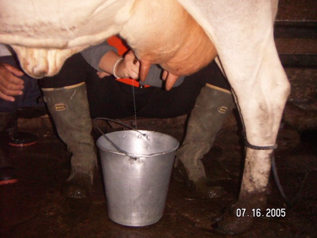 PICT0323.jpg