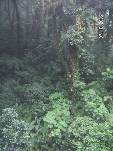 PICT0346.jpg