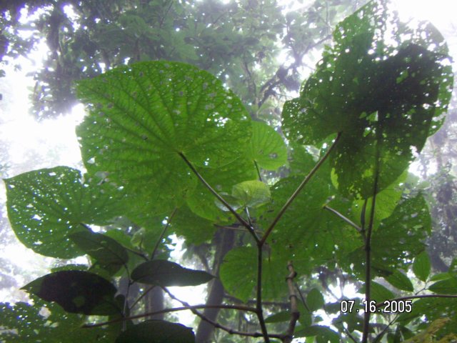 PICT0354.jpg