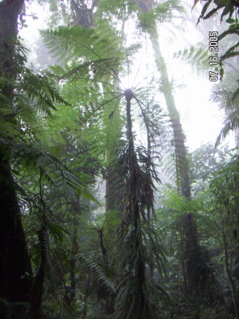 PICT0355.jpg