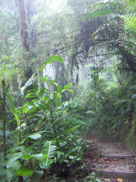 PICT0361.jpg