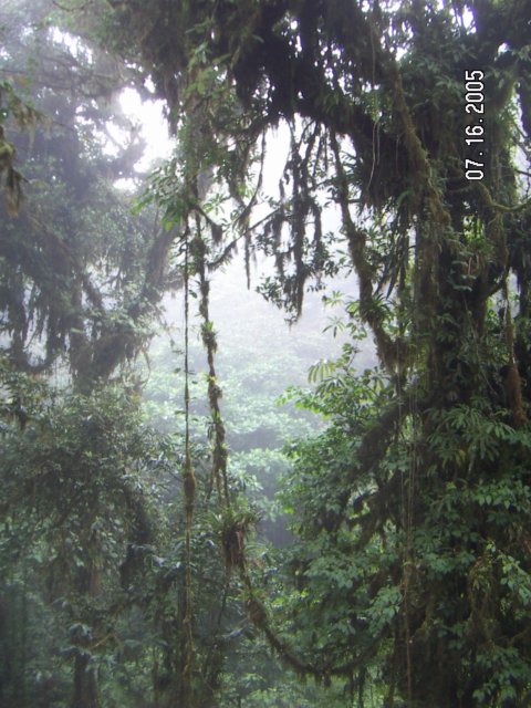 PICT0366.jpg