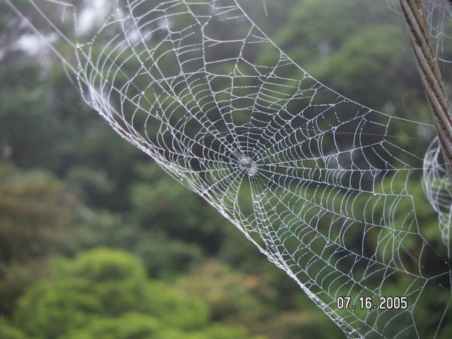 PICT0370.jpg