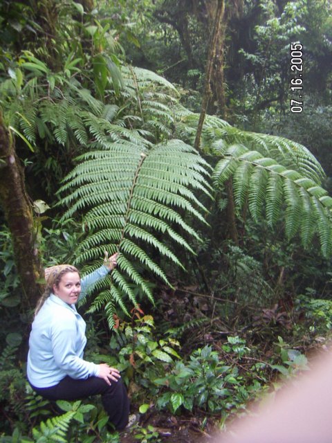 PICT0372.jpg