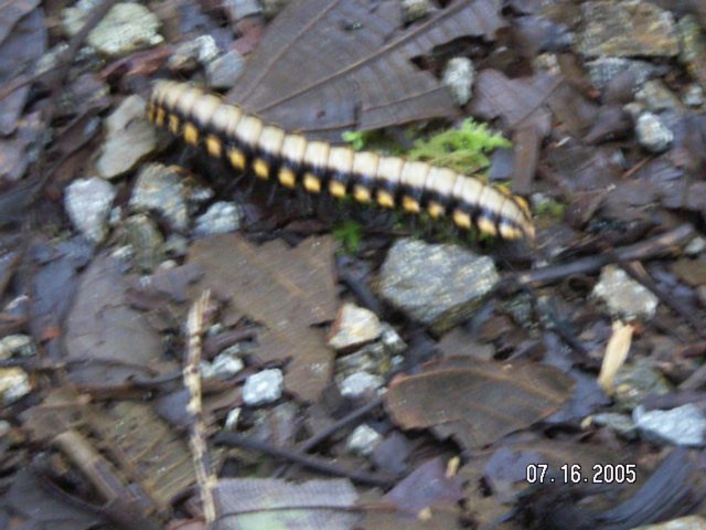 PICT0374.jpg