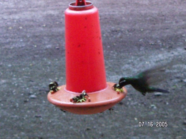 PICT0378.jpg