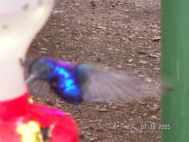 PICT0380.jpg