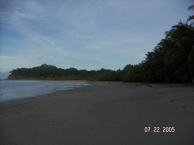PICT0408.jpg
