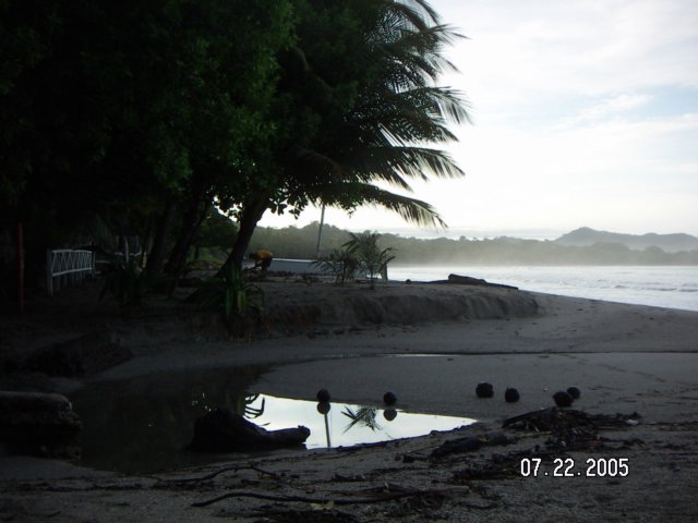 PICT0412.jpg