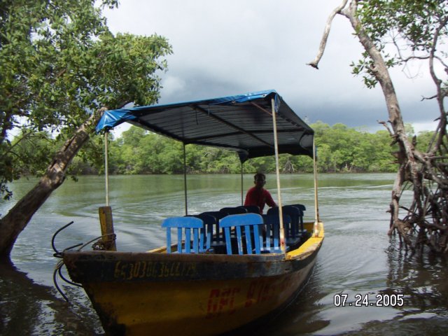 PICT0421.jpg
