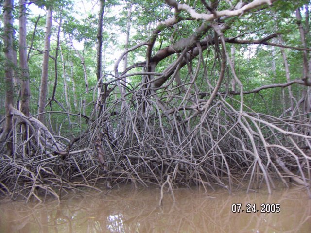 PICT0428.jpg