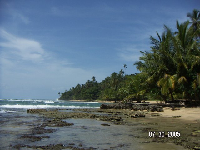 PICT0467.jpg