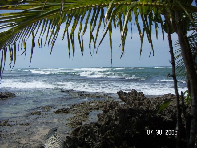 PICT0470.jpg