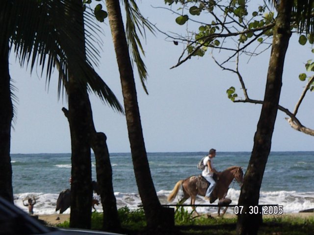 PICT0474.jpg