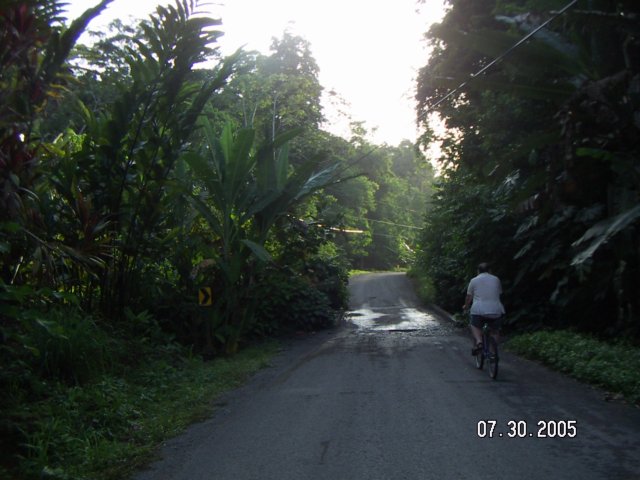 PICT0484.jpg