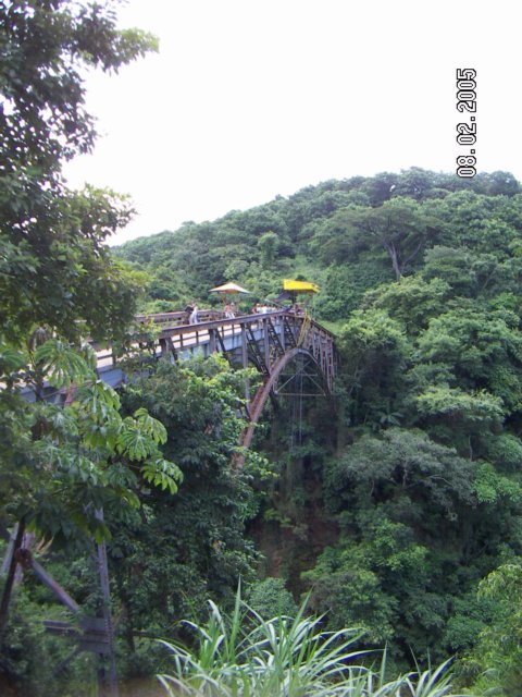 PICT0508.jpg