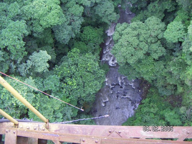 PICT0515.jpg