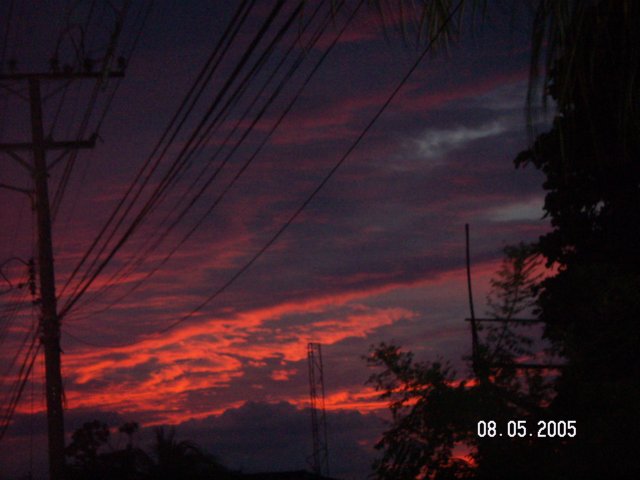 PICT0538.jpg